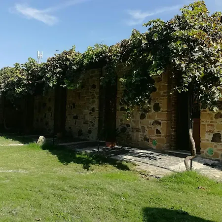 Il giardino di Don Peppino-3